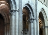 Rhone 245
